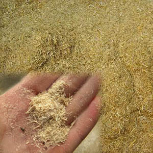 茄子网站下载APP