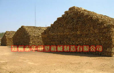 成人茄子视频在线观看